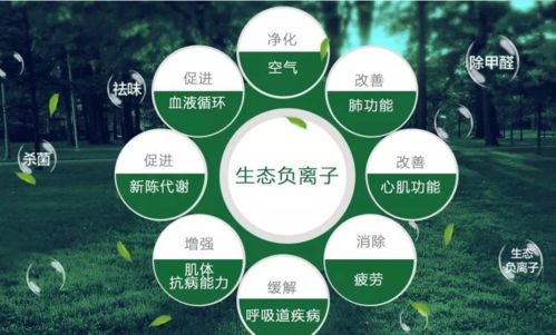 我家使用薇伊負(fù)離子空氣凈化器的真實(shí)體驗(yàn)與對(duì)自然生態(tài)系統(tǒng)保護(hù)的思考