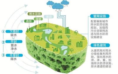 溫州全面推進(jìn)海綿城市建設(shè) 市區(qū)建成區(qū)25%以上面積今年達(dá)到“水彈性”要求，強(qiáng)化自然生態(tài)系統(tǒng)保護(hù)管理