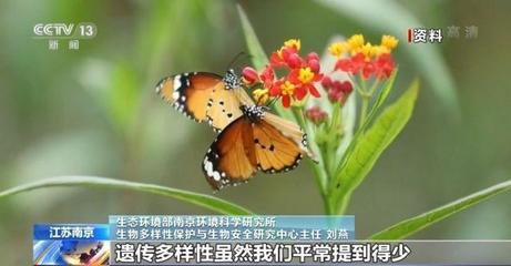 地球自然生態平衡的保障 保護生物多樣性究竟有多重要？